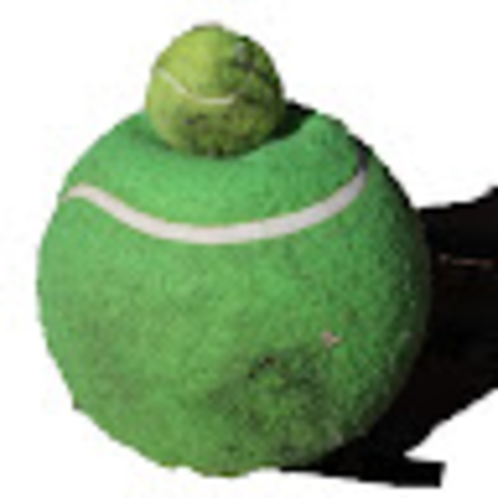 Meet your Posher, Soren